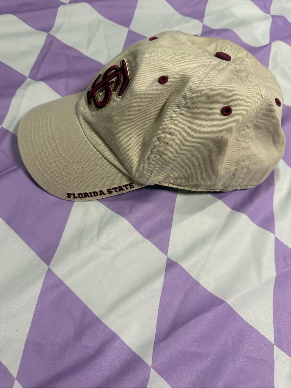 Vintage Florida State Seminoles Twins Enterprise Strapback Hat